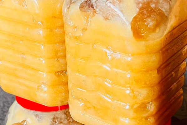 سږکال په کندهار کې ۷۹ ټنه شات پلورل شوي