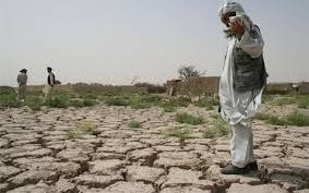 ملګرو ملتونو په افغانستان کې د وچکالۍ له زیانونو د مخنیوي لپاره د بېړنیو مرستو غوښتنه کړې