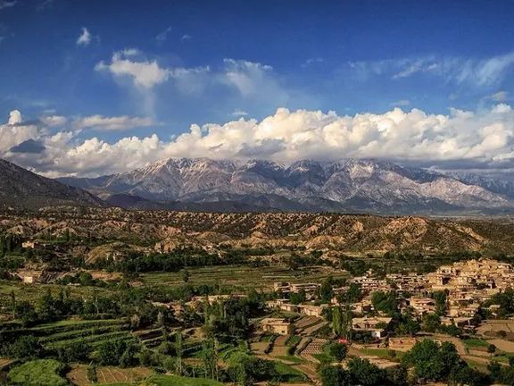 هشت نفر در تیراندازی طالبان در یک مناقشه برسر زمین در پکتیا زخمی شدند