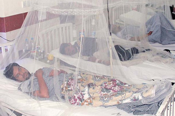 په سند کې د ډینګي له امله د مړو شمېر ۲۶ ته لوړ شو