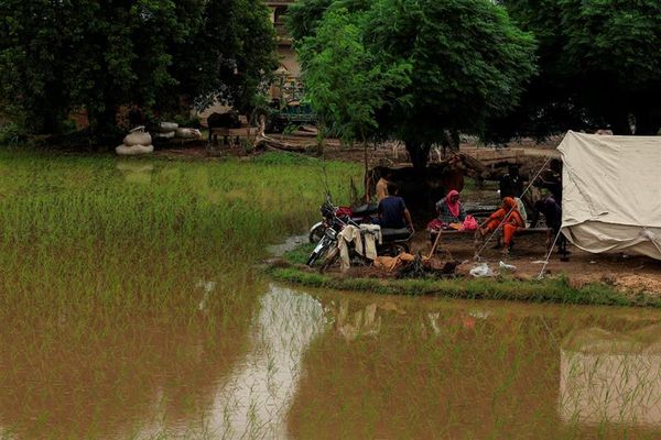 ۳۰ نفر در اثر سیلاب در پنجاب هند کشته شدند
