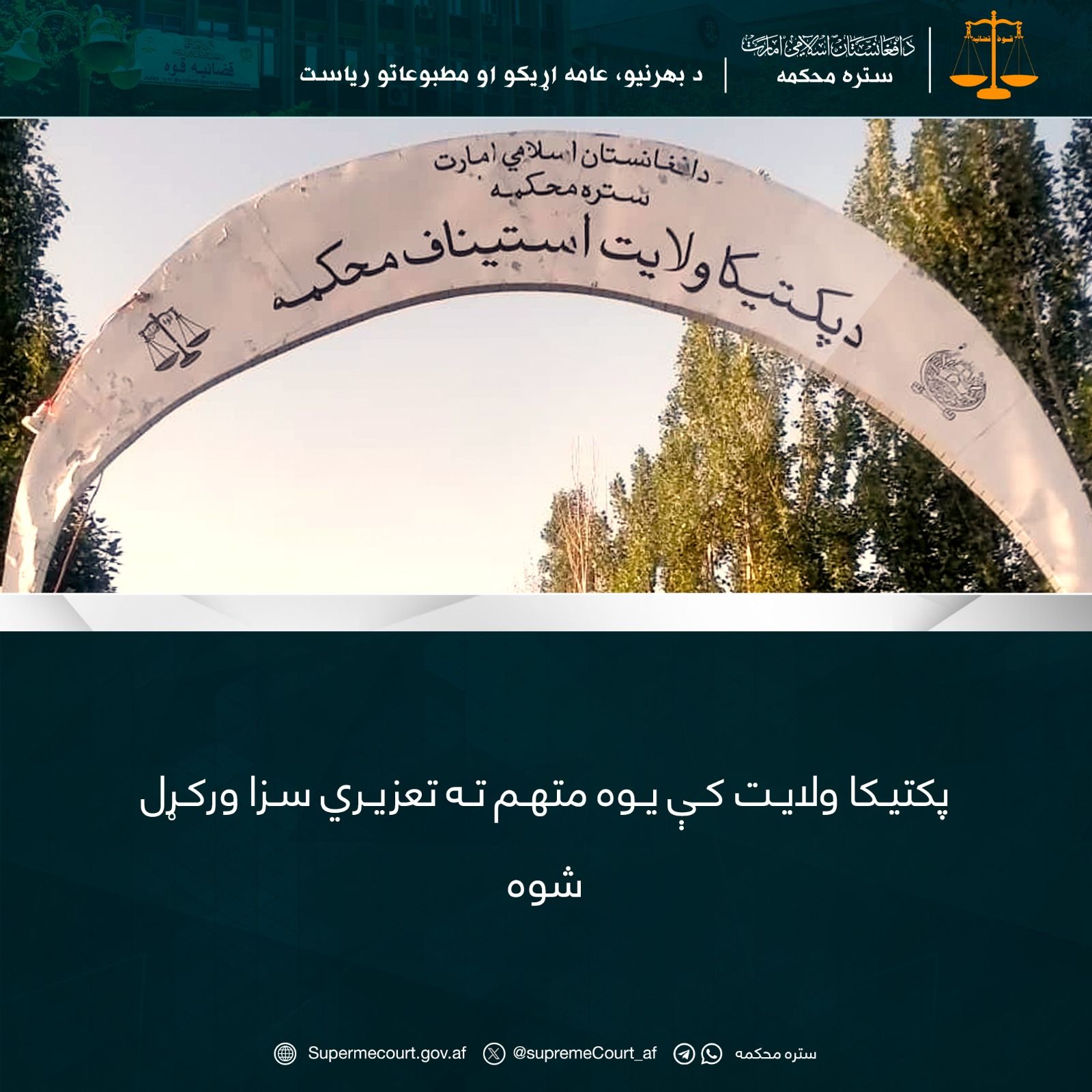 طالبان فردی را در پکتیکا شلاق زد