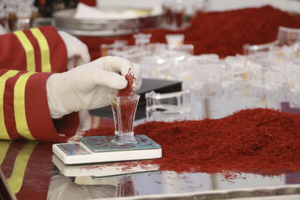 للعام العاشر على التوالي، يُتوَّج زعفران هِرات كأفضل زعفران في العالم