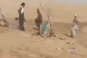 پیکر ۱۴ شهروند در دشتهای نیمروز پیدا شد