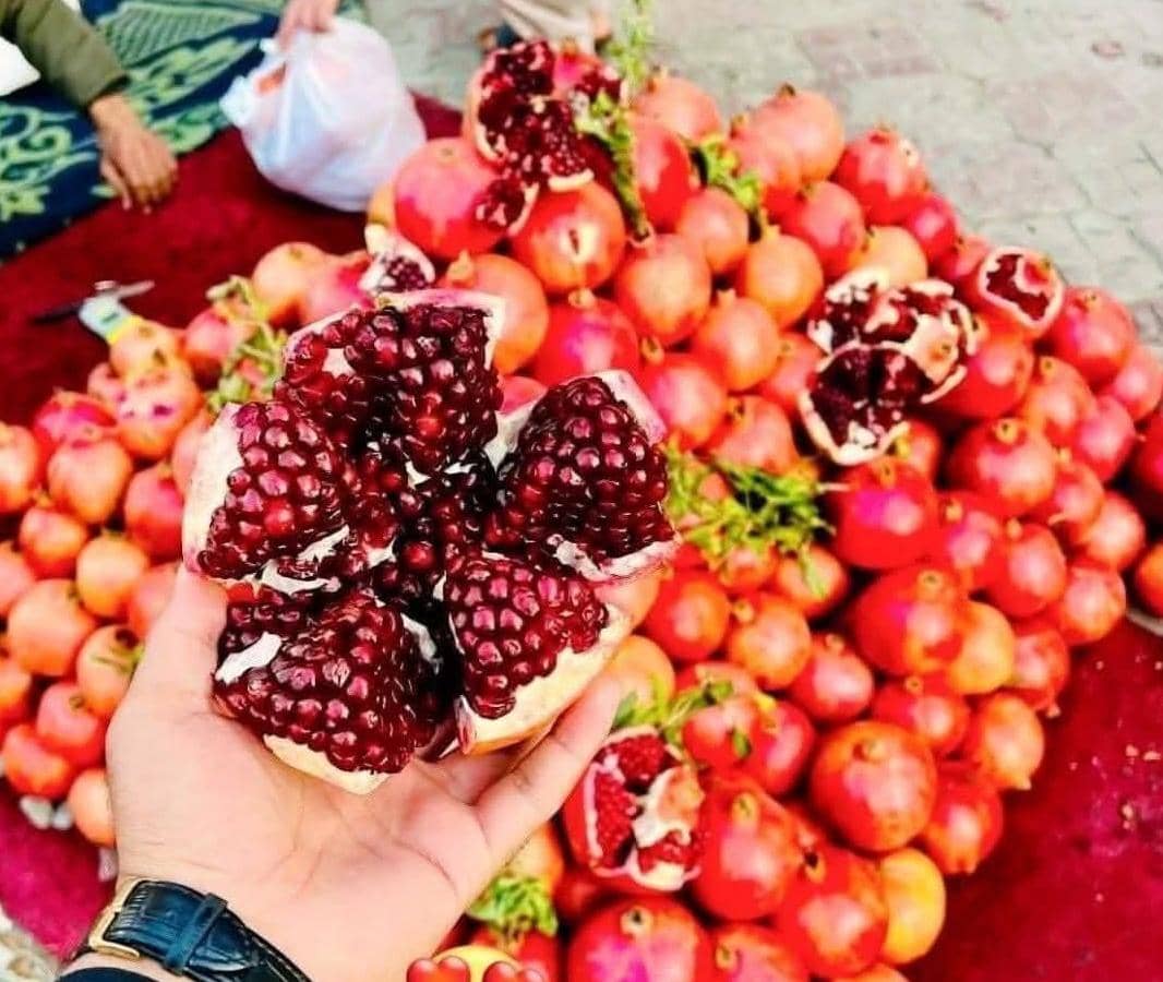 طالبان: سږ کال ٢٣ زره ټنه انار بهرنیو هیوادونو ته صادر شوي