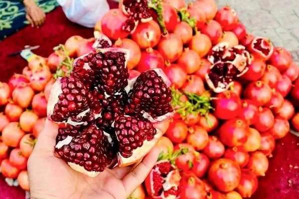 طالبان: سږ کال ٢٣ زره ټنه انار بهرنیو هیوادونو ته صادر شوي