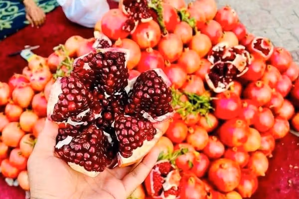 طالبان: سږ کال ٢٣ زره ټنه انار بهرنیو هیوادونو ته صادر شوي