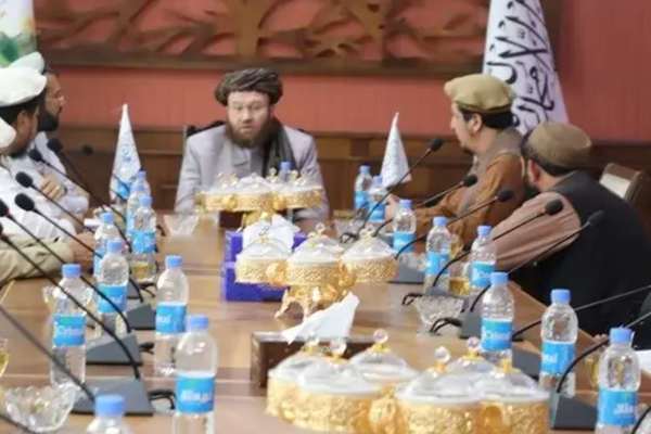 Export of Afghanistan's Fruit To Neighbouring Countries Hampered, Claims Taliban