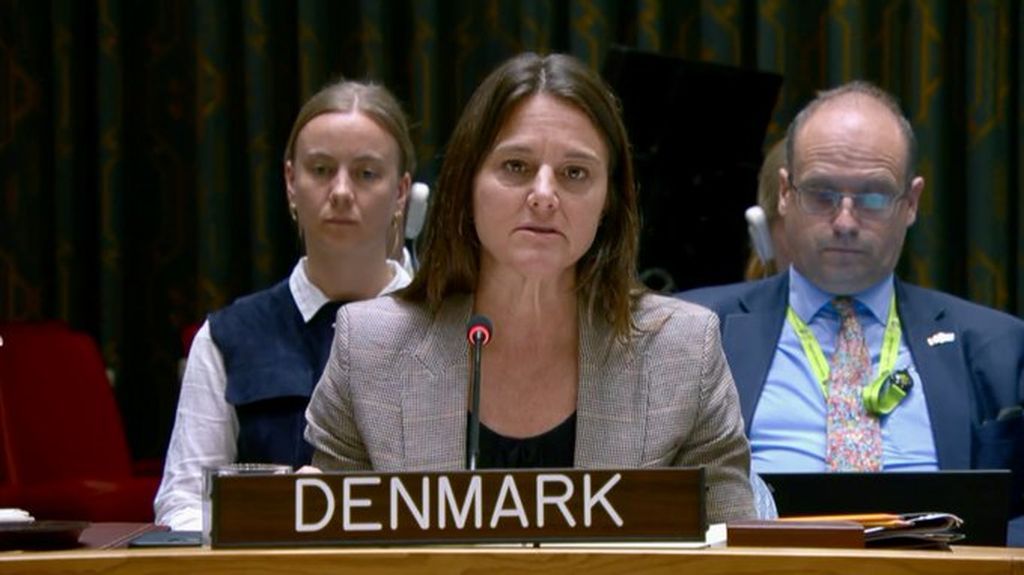 د ډنمارک استازې وايي چې پاکستاني طالبان د افغان طالبانو له ادارې «منظم ملاتړ» ترلاسه کوي