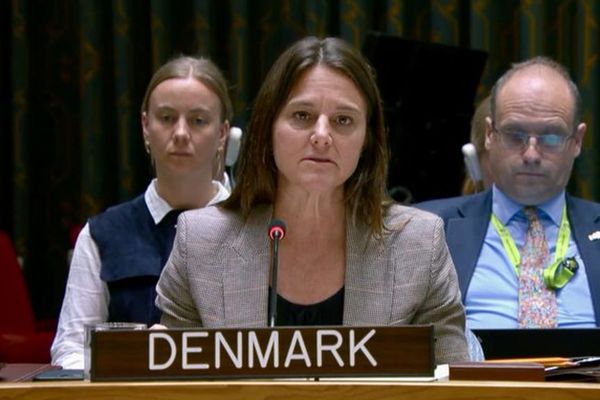 د ډنمارک استازې وايي چې پاکستاني طالبان د افغان طالبانو له ادارې «منظم ملاتړ» ترلاسه کوي