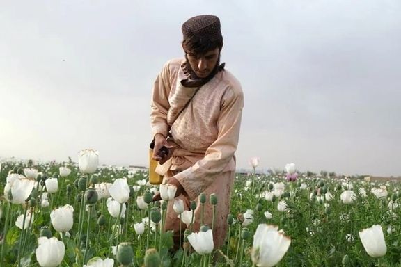 د ملګرو ملتونو راپور ته د ایران غبرګون: طالبانو د نشه يي توکو تولید او قاچاق لا پراخ کړی