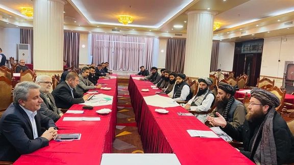 وزارت زراعت طالبان خواستار همکاری ایران در بخش زراعت و مالداری شد