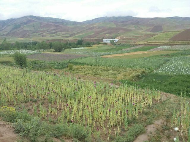 باشندگان بدخشان: 'طالبان پشتون' قرارگاه نظامی ولسوالی ارگو را ترک کردند