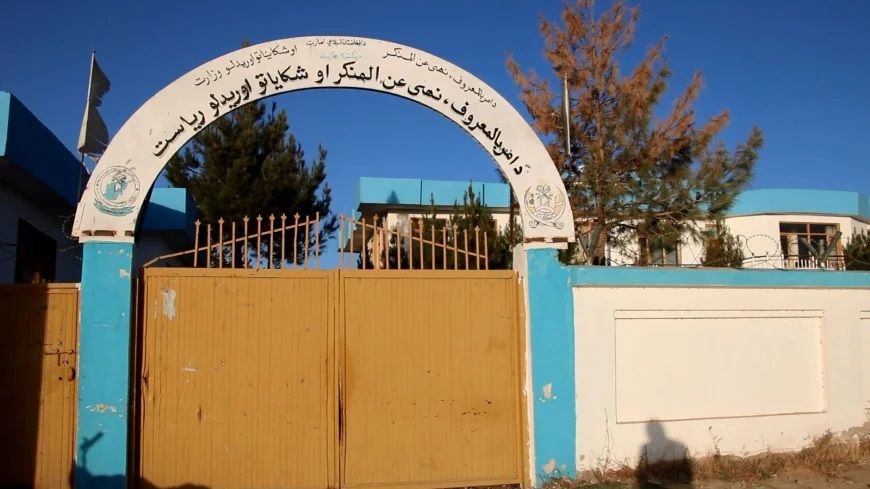 طالبان وایي په پکتیکا کې یې دوه ښځې د کوډو په تور نیولې دي