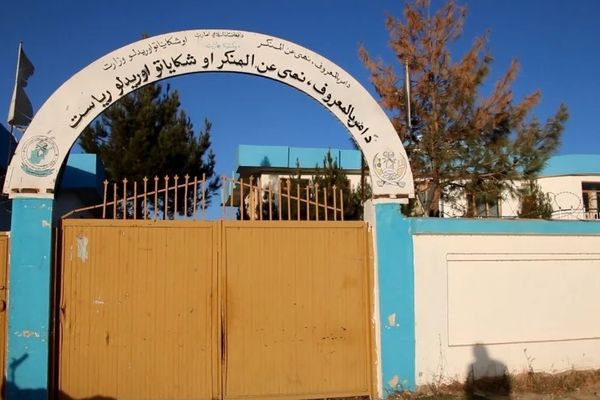 طالبان وایي په پکتیکا کې یې دوه ښځې د کوډو په تور نیولې دي