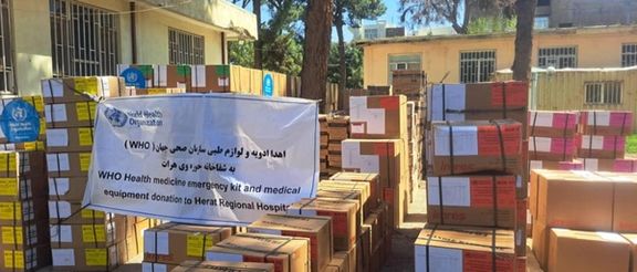 د هرات حوزوي روغتون ډاکتران وايي، نړېوالې طبي مرستې به د هرات د خلکو ستونزې کمې کړي