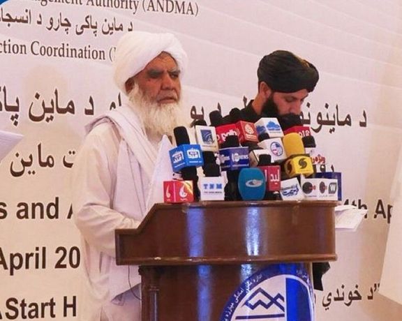 نورالدین ترابي: په افغانستان کې هره میاشت شاوخوا ۵۰ تنه د ناچاوده توکو قرباني کېږي