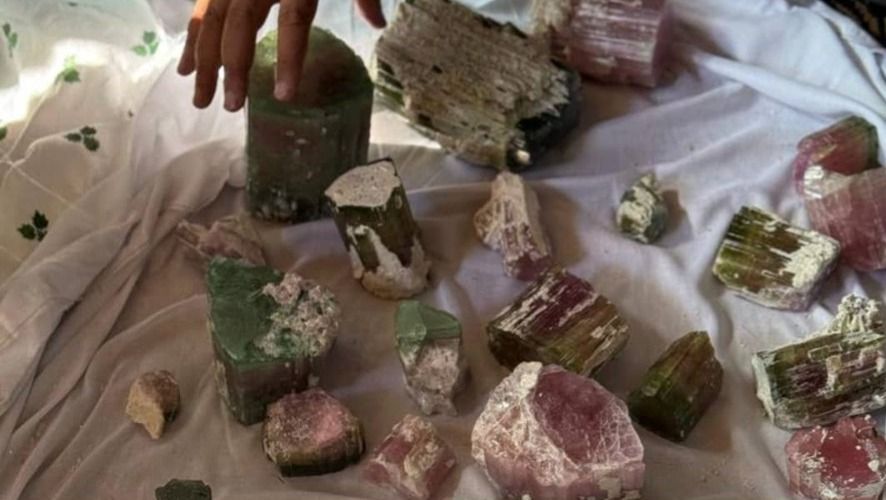 طالبانو په نورستان کې د ۲۲مېلیونه افغانیو په ارزښت بیروج پلورلي