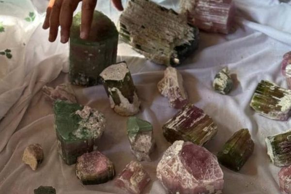 طالبانو په نورستان کې د ۲۲مېلیونه افغانیو په ارزښت بیروج پلورلي