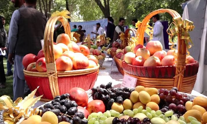طالبان په هرات کې د تازه مېوو صادراتو لپاره اداري بهیر اسانه کوي