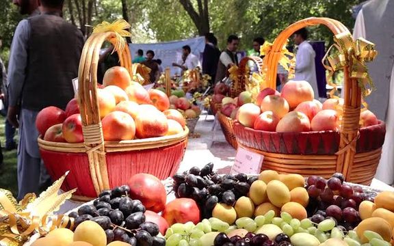 طالبان په هرات کې د تازه مېوو صادراتو لپاره اداري بهیر اسانه کوي