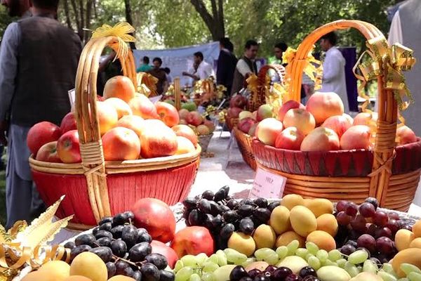 طالبان په هرات کې د تازه مېوو صادراتو لپاره اداري بهیر اسانه کوي