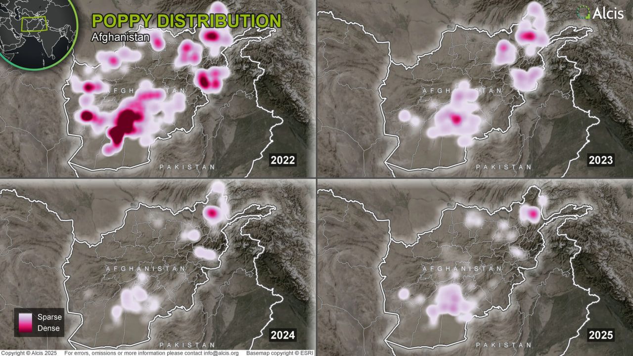 افزایش کشت خشخاش در جنوب‌غرب افغانستان به‌ویژه بدخشان در سال‌های ۲۰۲۴ و ۲۰۲۵