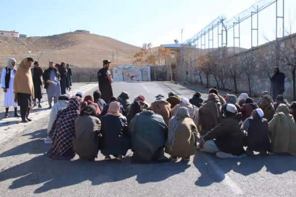 طالبان وایي په هرات کې ۳۵۰ روږدي کسان د مهارتونو روزنې څخه فارغ شوي