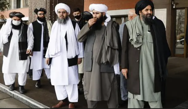 یوه طالب جنګیالي د طالب مشرانو او عامو خلکو د اولادونو ترمنځ د فرصتونو پر توپیر نیوکه کړې