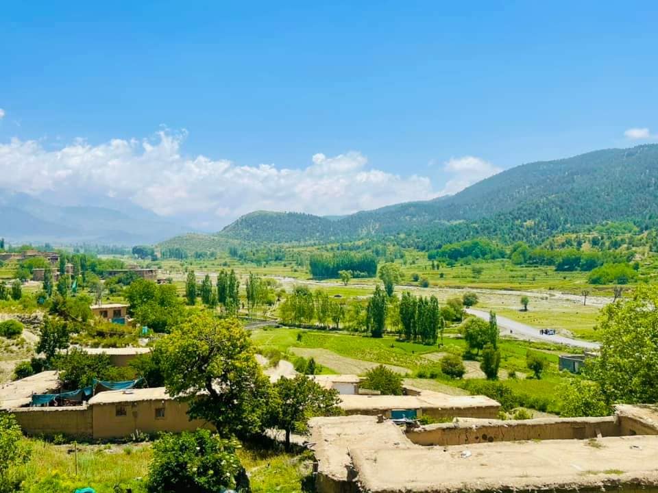 د پکتیا په ځاځي اریوب کې شپږو ولسي وګړو ته د مرګ ژوبلې اوښتو ضد او نقیض راپورونه