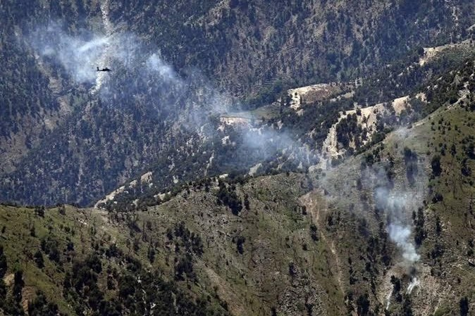 وكيل وزارة داخلية طالبان: الغابات في أفغانستان تتعرّض لدمار كامل