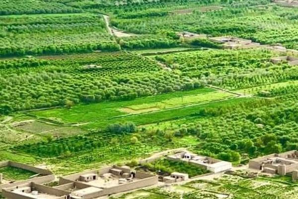 په جنوبي وزیرستان کې د یوه سیمه ییز قومي مشر د کورنۍ درې غړي وژل شوي