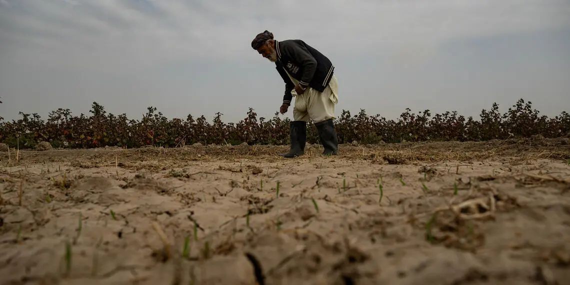 ملګرو ملتونو په افغانستان کې د وچکالۍ د مخنيوي لپاره ۱۶.۶ میليونه ډالره مرسته اعلان کړه