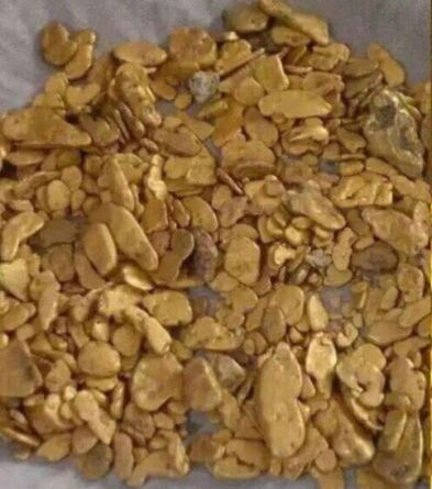 طالبانو ۲۰ کیلوګرامه خام سره زر د پروسس لپاره ازبکستان ته واستول