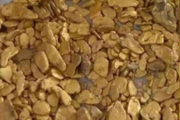طالبانو ۲۰ کیلوګرامه خام سره زر د پروسس لپاره ازبکستان ته واستول