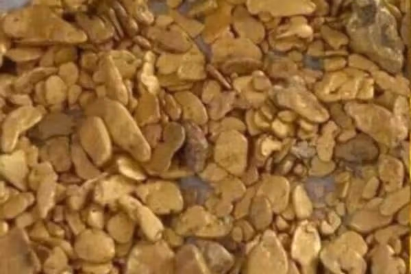 طالبانو ۲۰ کیلوګرامه خام سره زر د پروسس لپاره ازبکستان ته واستول