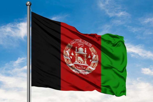 د ملي بېرغ ورځ؛ ګڼو افغانانو په خواله رسنیو د ملي بېرغ انځورونو په خپرولو سره ونمانځله