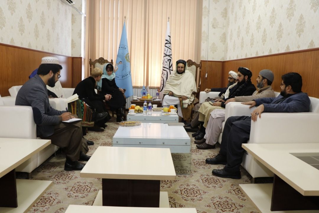 وزیر تحصیلات طالبان: جداسازی دانشجویان در دانشگاه‌های خصوصی نمونه خوب آموزش است