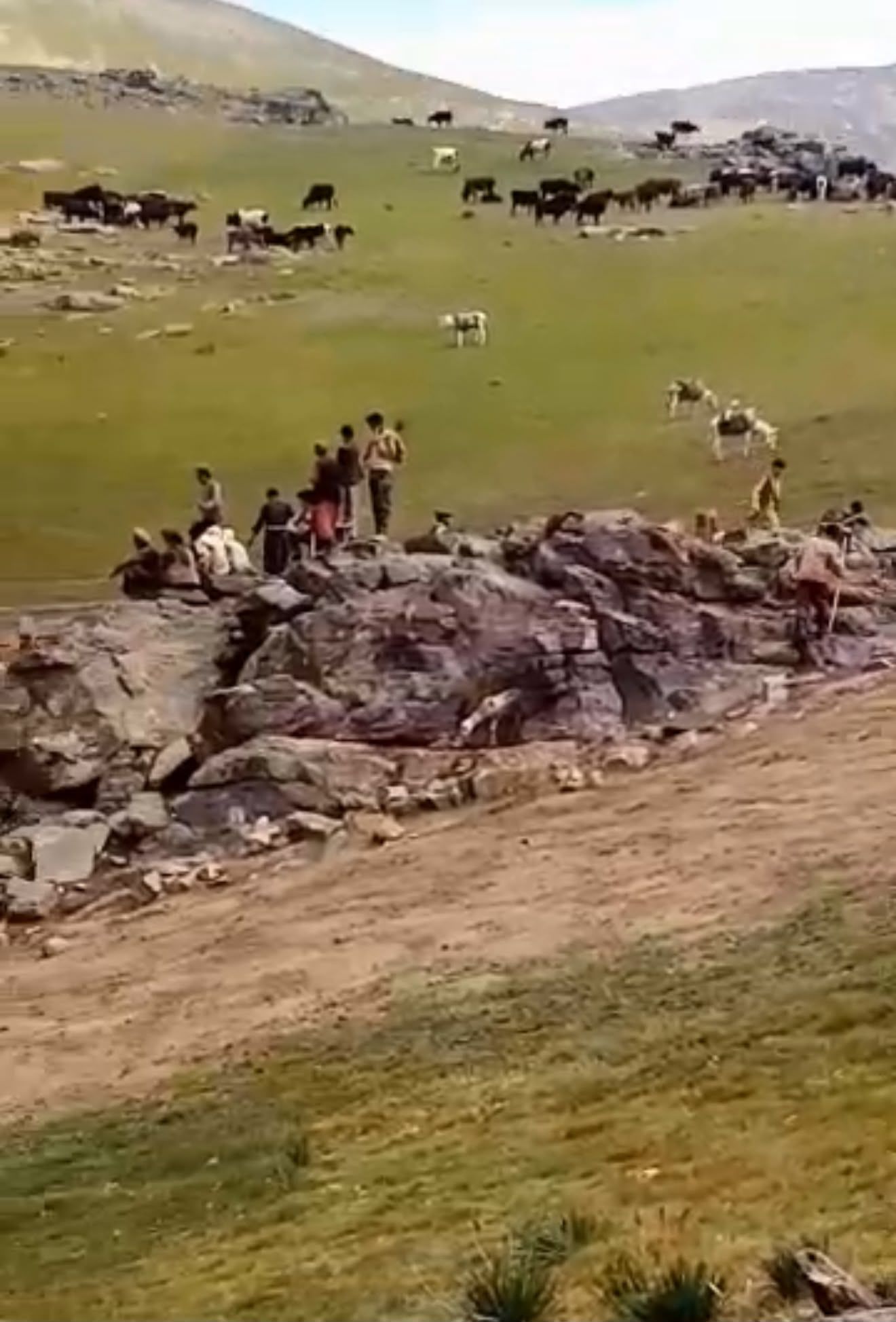ادامه درگیری میان طالبان بر سر علفچر در جرم بدخشان