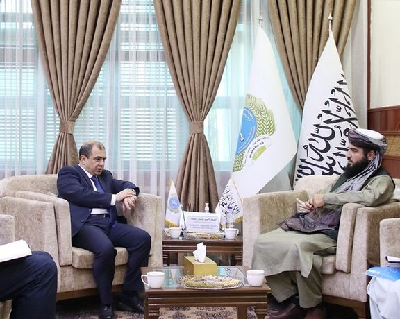 طالبان خواهان کمک آذربایجان برای ارتقای ظرفیت کارمندان بخش صحت افغانستان شد