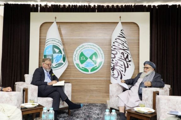 ریچارډ ټرېنچارد: د نړیوالو همکاریو جلبولو او اقلیمي بدلون په اړه له طالبانو سره کډ کار کوو