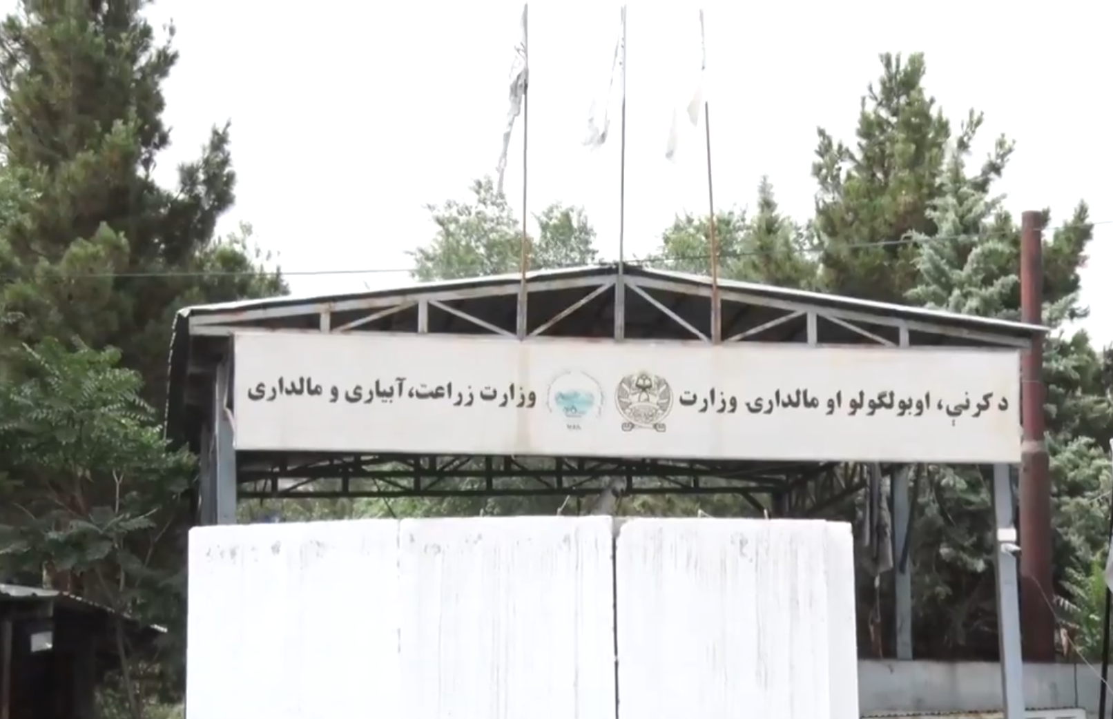 اسناد اداره طالبان: تنها ریاست عشر و زکات وزارت زراعت طالبان، هزار و ۲۰۰ کارمند دارد