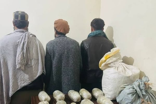 طالبان وايي په کابل او بدخشان کې یې غله او نشهیي توکي نیولي دي