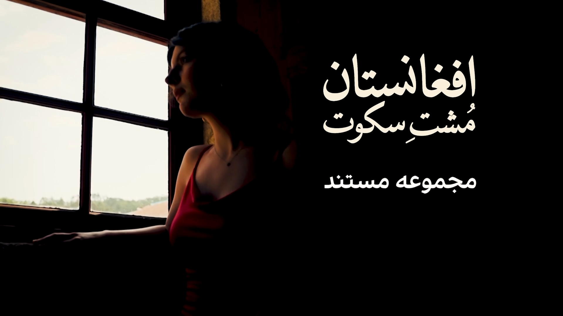 مشت سکوت، مجموعه مستند