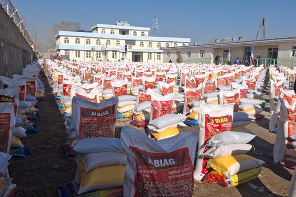 طالبان وایي په پکتیکا کې یې نږدې زرو اړمنو کورنیو ته خوراکي مرستې وېشلي