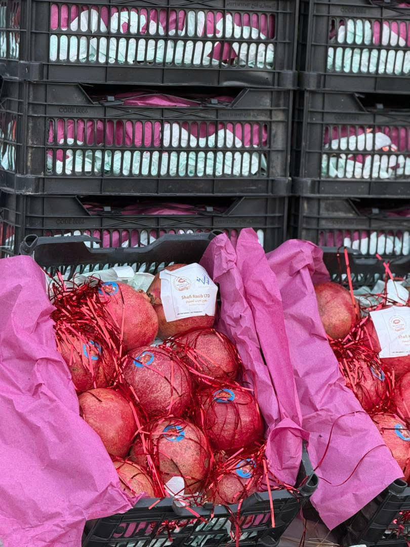 له کندهار څخه د لومړي ځل لپاره قطر ته انار صادر شول