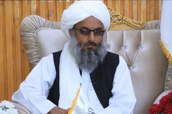 د طالبانو د هرات والي: پوهنتونونه باید ځانونه له نړۍوالو معیارونو سره برابر کړي