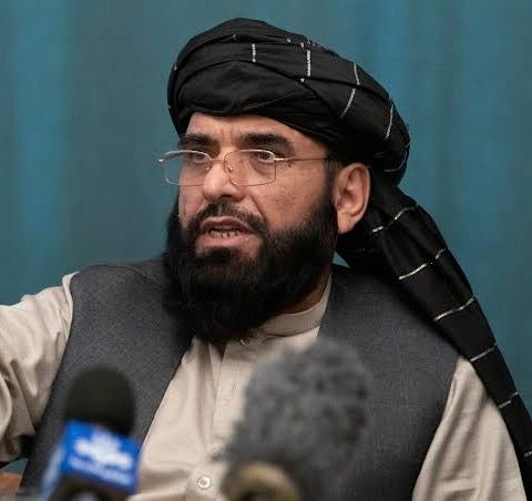 سهیل شاهین: پاکستان پوی شوی چې طالبان یې نور تر اغېزې لاندې نه دي