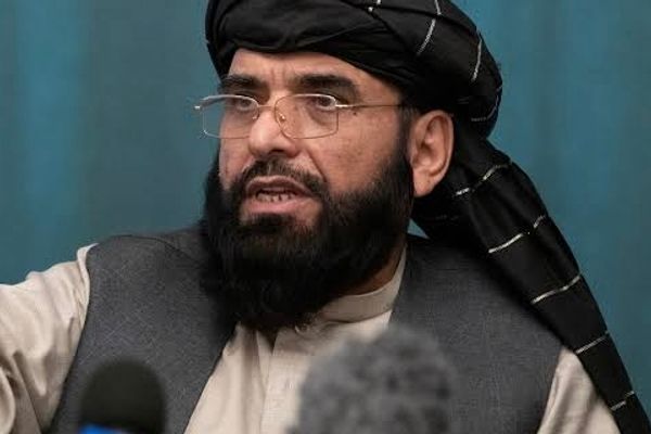 سهیل شاهین: پاکستان پوی شوی چې طالبان یې نور تر اغېزې لاندې نه دي