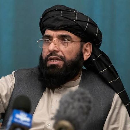 سهیل شاهین: پاکستان پوی شوی چې طالبان یې نور تر اغېزې لاندې نه دي